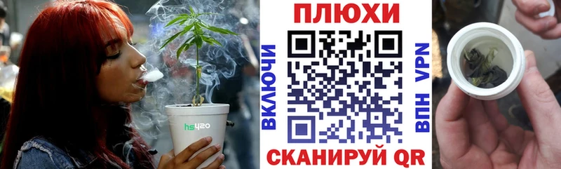 Купить закладки Плёс Гашиш hashish