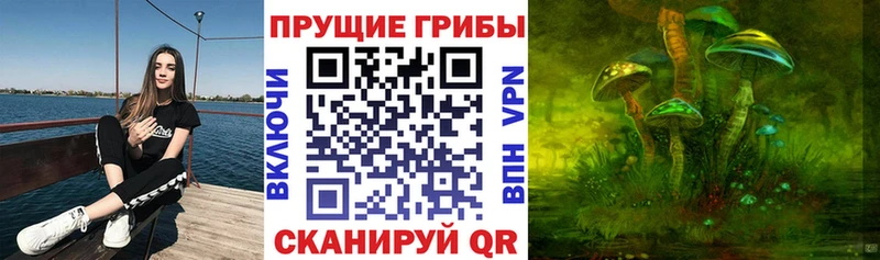 Галлюциногенные грибы Psilocybe  Купить где  Плёс 